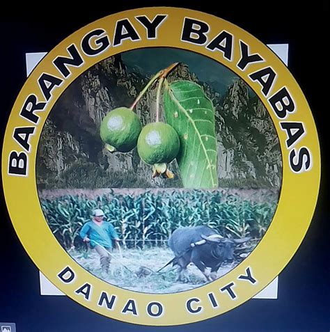 danao barangays|Danao, Cebu .